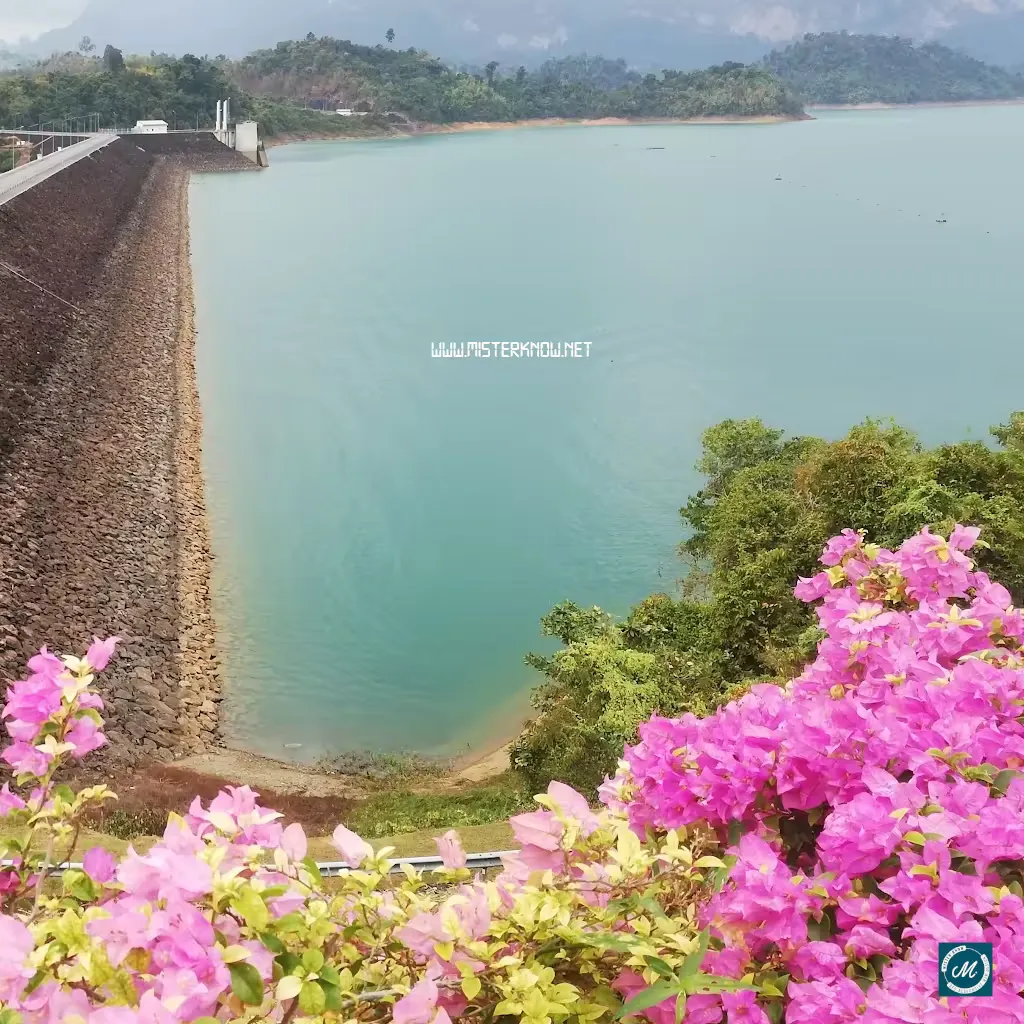 รับทำเว็บไซต์ สุราษฎร์ธานี