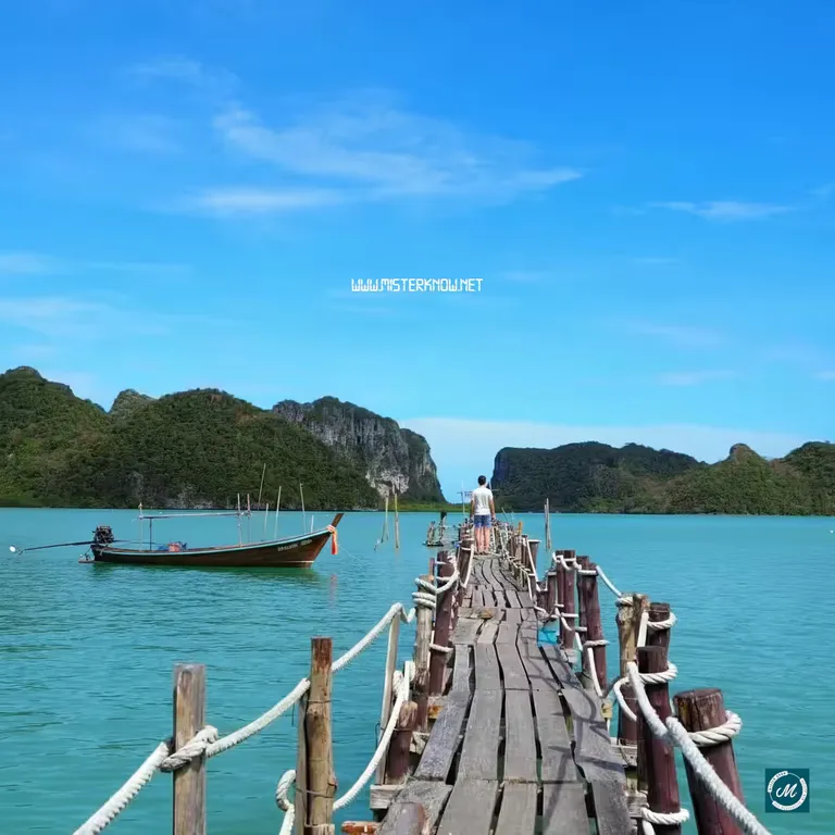 รับทำเว็บไซต์ นครศรีธรรมราช ตรงใจ GOOGLE แรง โหลดเร็วกว่า ๑๐ เท่า